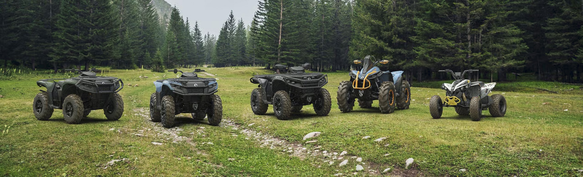 lorem ipsum dolor sit